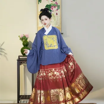 Obnovenie Dlho Vyšívané Šaty, Oblečenie Ma Mian Sukne Dynastie Ming Hanfu Jeseň Zima Hanfu Šaty, Kostým Obrázok