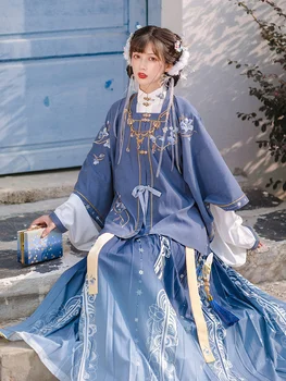 Princezná Čínsky Hanfu Ženy Výšivky Starých Kostýmov Skladaná Sukňa Dynastie Ming Cosplay Obrázok